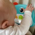 28042025680f7844ede86.png