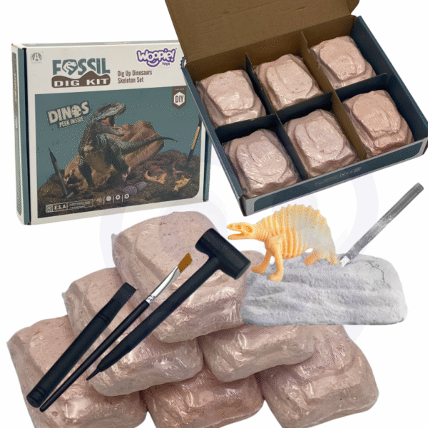 28042025680fda78a3150.png