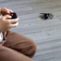 28042025680fe01aa8a08.jpeg