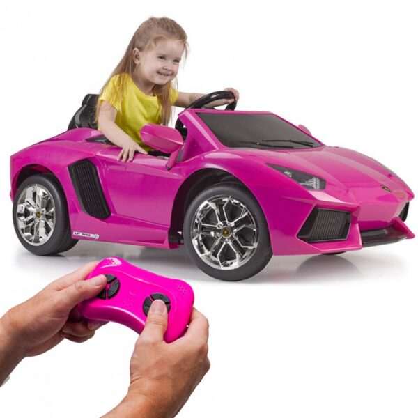 28042025680fed6952f97.jpeg