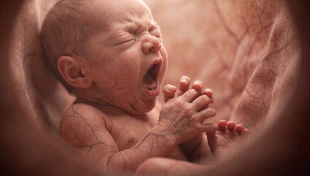 Nowa analiza ujawnia: płód ziewający w macicy może sygnalizować stres