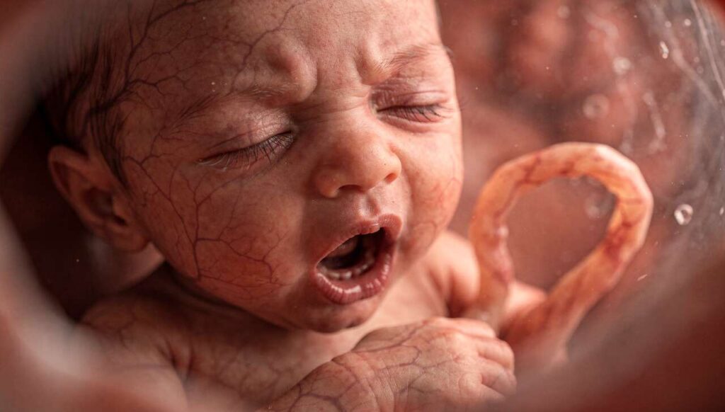 Badacze potwierdzają: ziewnięcia płodu mogą sygnalizować coś niepokojącego